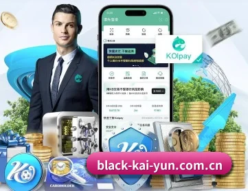 开云 APP - kaiyun